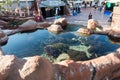 At Coral World Underwater Observatory in Eilat Royalty Free Stock Photo