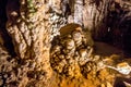 Coralloid formations in Luray Caverns, Virginia Royalty Free Stock Photo