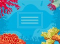 corals and algaes and sea water nature frame Royalty Free Stock Photo