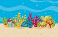 corals and algaes in sea water nature scene Royalty Free Stock Photo