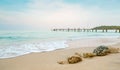 Corals on sand beach by the sea with blue sky and white clouds. Summer vacation on tropical paradise beach concept. Ripple