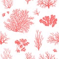 Corals seamless pattern