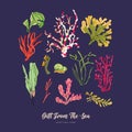 Corals and seaweed Vector. Gift of the sea Card. Ocean Underwater flora, sea marine plants set on dark background