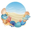 Corals and shells on the sand background