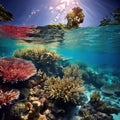 Corals in Solomon Islands