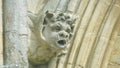 Corbel Head on The West Front of Salisbury Cathedral F