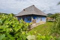 Corbi, Romania - July 2019: traditional authentic peasants house painted in blue in an old village at the foothills of the