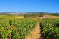 Corbieres, rural landscape in southern France