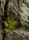 Corby Crags