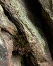 Corby Crags