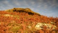 Corby\'s Crags and the Rock Shelter Royalty Free Stock Photo