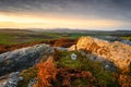 Corby\'s Crags view from the top Royalty Free Stock Photo