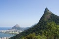 Corcovado Mountain and Forest