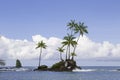 Corcovado National Park, Costa Rica Royalty Free Stock Photo