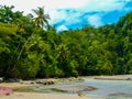 Corcovado National Park, Osa Peninsula Royalty Free Stock Photo