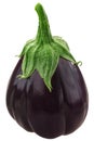 Cordate aubergine or eggplant Solanum melongena fruit isolated Royalty Free Stock Photo
