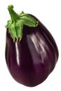 Cordate aubergine or eggplant Solanum  melongena fruit isolated Royalty Free Stock Photo