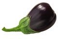 Cordate eggplant or aubergine whole, isolated. Solanum melongena fruit
