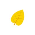 Cordate leaf flat icon