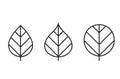 Cordate and orbicular leaf line icon set. botanical and nature symbols. three leaves vector images