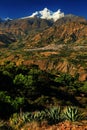 Cordiliera Blanca Royalty Free Stock Photo