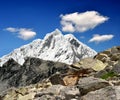 Cordillera Blanca - Mountain Pisco , Peru Royalty Free Stock Photo