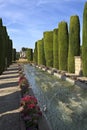 Cordoba Alcazar Gardens Royalty Free Stock Photo