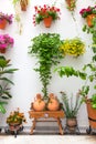 Cordoba Patio Fest - Private Courtyard with Flowers decorated , Royalty Free Stock Photo