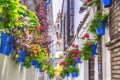 Cordoba, Spain. A beautiful wiew of the bell tower of the Catedral from the street of flowers. Calleja de las Flores