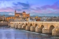 Cordoba Royalty Free Stock Photo