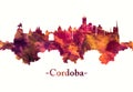 Cordoba Spain skyline in red Royalty Free Stock Photo