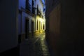 Cordoba streets at night Royalty Free Stock Photo