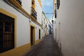 Cordoba streets on a sunny day Royalty Free Stock Photo