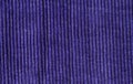 Corduroy background Royalty Free Stock Photo