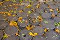 cordwood floor of log end with yellow autumn leaves Royalty Free Stock Photo