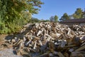 Cordwood piled for sale Royalty Free Stock Photo