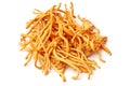 Cordyceps mushroom. Chanterelle, gourmet Royalty Free Stock Photo