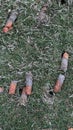 Core aeration grass plugs from Georgia red clay soil