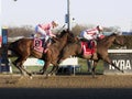 Core Conviction beating Three Jokers at Historic Aqueduct Racetrack