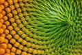 Core of of the flower, texture. Sunflower close-up. Seeds and oil. Flat lay, top view. Macro Royalty Free Stock Photo