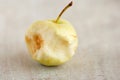 Core of an small light apple Royalty Free Stock Photo
