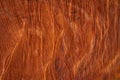 The core of the wood that has been cut inwardly The wood texture is dark reddish brown. Popular as a home use with copy space