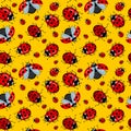 Corel seamless pattern. Cartoon ladybugs red on a yellow background