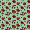 Corel seamless pattern. Cartoon red ladybugs on a blue background mint