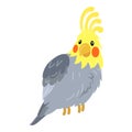 Corella parrot icon, cartoon style Royalty Free Stock Photo