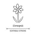 Coreopsis linear icon. Thin line illustration. Rudbeckia garden flower with name. Calliopsis plant. Blooming daisy