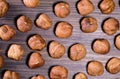 Cores of a huzelnut photography closeup