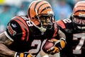 Corey Dillon, Cincinnati Bengals RB Royalty Free Stock Photo