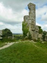 Nature of the ruins Royalty Free Stock Photo