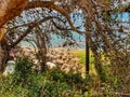 Corfu beach and sea Royalty Free Stock Photo